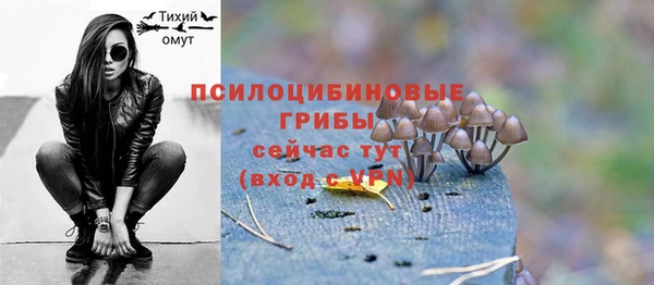 прущие грибы Семилуки