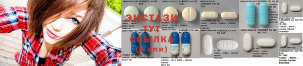 прущие грибы Семилуки