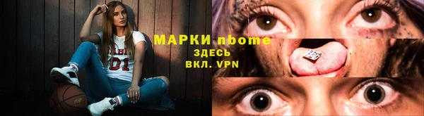прущие грибы Семилуки