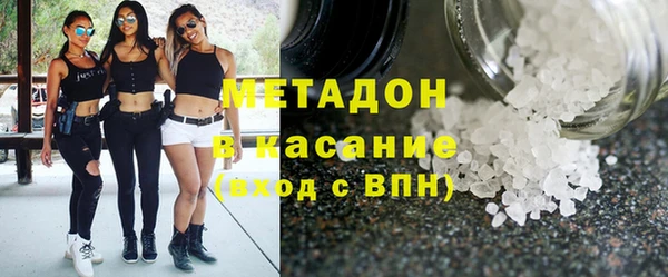 прущие грибы Семилуки