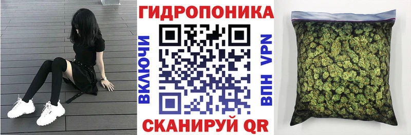 МАРИХУАНА планчик  Туран 